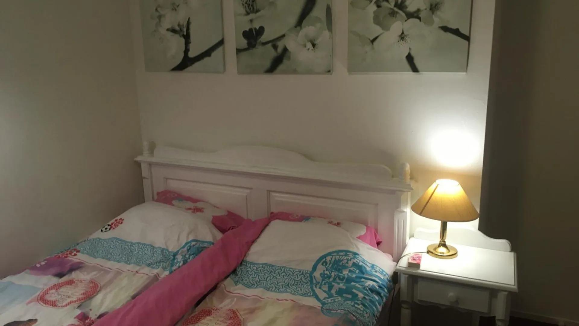 ベッド・アンド・ブレックファスト Wim'S Place Schiphol Amsterdam Airport ﾎｰﾌﾄﾞﾛｰﾌﾟ