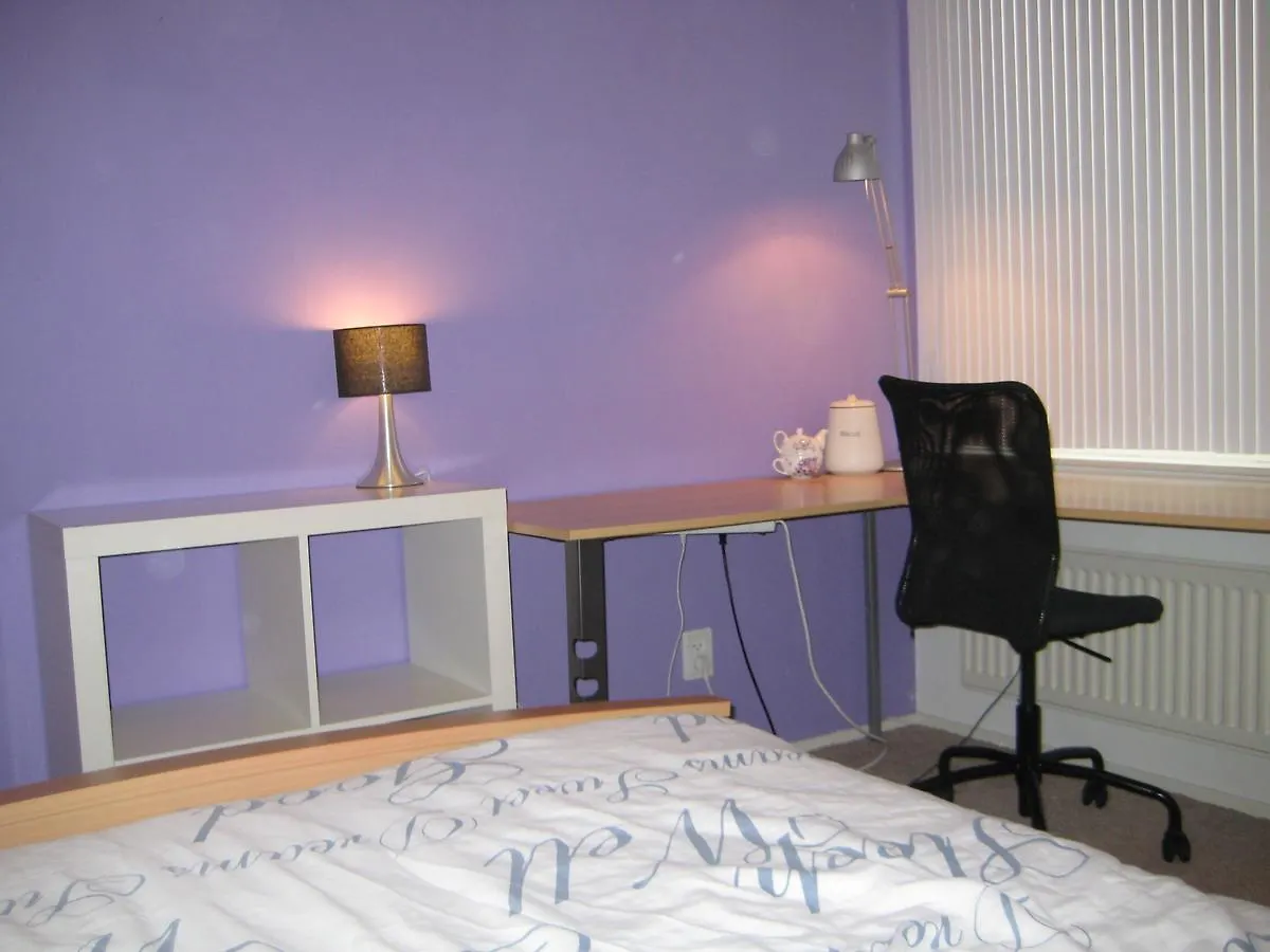 Wim'S Place Schiphol Amsterdam Airport ﾎｰﾌﾄﾞﾛｰﾌﾟ 2*,